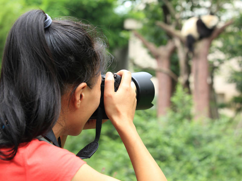 Wildlife Photography